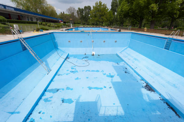 Best Mold removal after water damage  in Saw Creek, PA