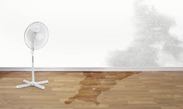 Best Ceiling water damage repair  in Saw Creek, PA