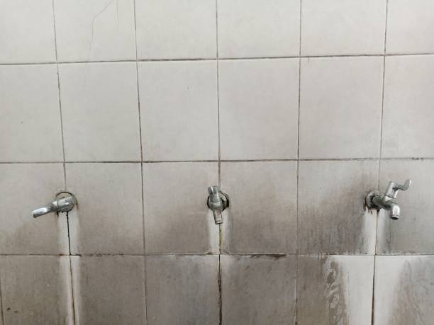 Best Water damage contractors near me  in Saw Creek, PA
