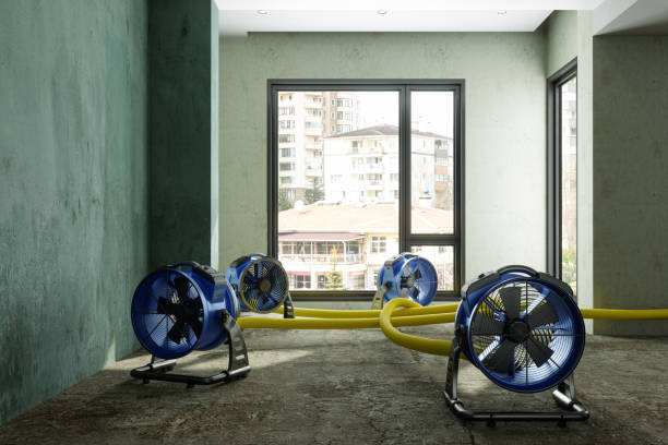 Best 24/7 water damage repair  in Saw Creek, PA